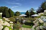 Luccombe Hall Country House Hotel